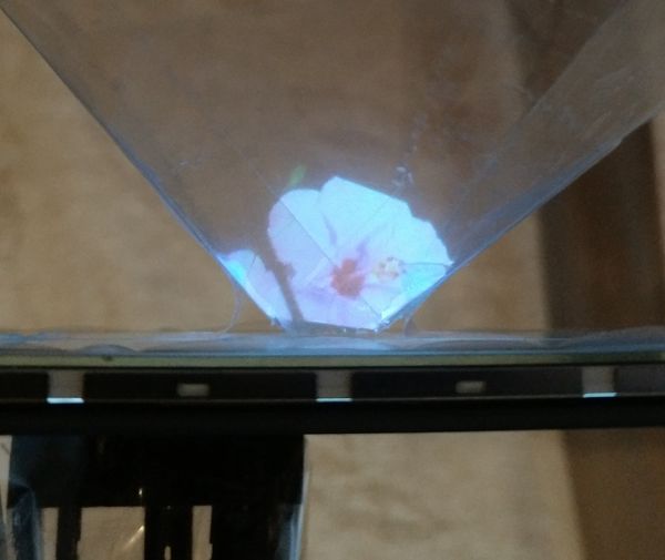 Pepper's Ghost holographic flower